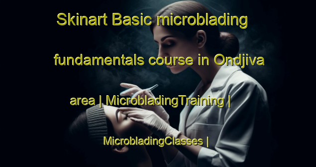 Skinart Basic microblading fundamentals course in Ondjiva area | MicrobladingTraining | MicrobladingClasses | SkinartTraining-Angola